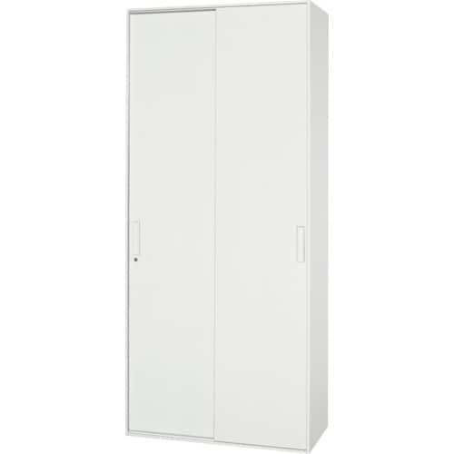 DAISHIN 壁面収納庫窓付き2枚引戸タイプ 棚