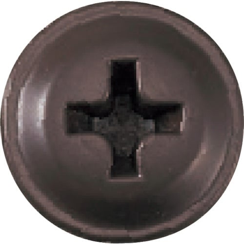 WAKAI ステンレス 板金パッキンビス 新茶 4