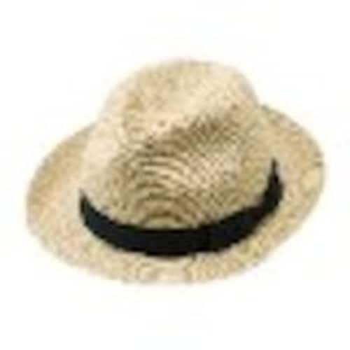 アイメディア 洗えるブレードハット BE