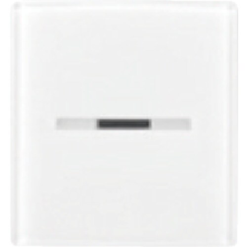 東芝 スイッチカバー表示付