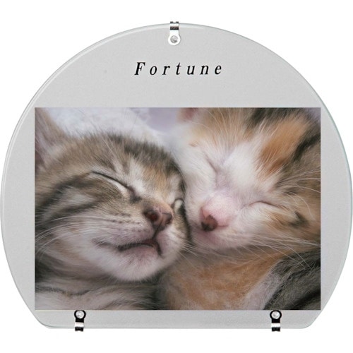 Kenko 1250199 写真立て 天丸 クリア