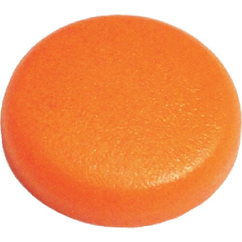 ダンドリビス Wキャップ&ワッシャーセット W74