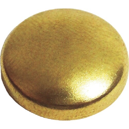 ダンドリビス ビスキャップ いたずら防止キャップ1