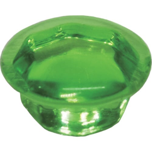 ダンドリビス クリスタルキャップ グリーン (8入