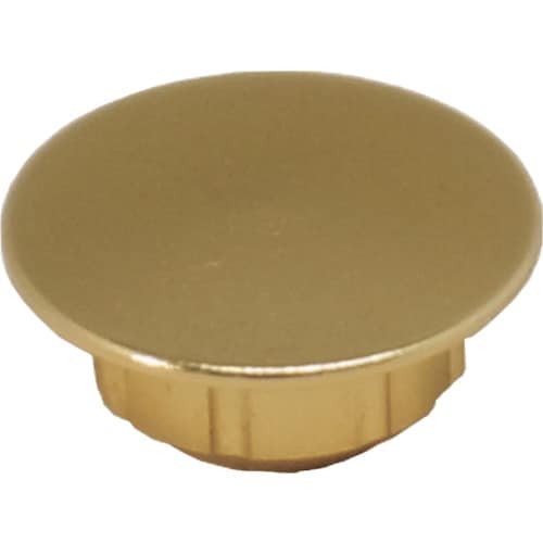 ダンドリビス ハイメタルキャップ ゴールド (