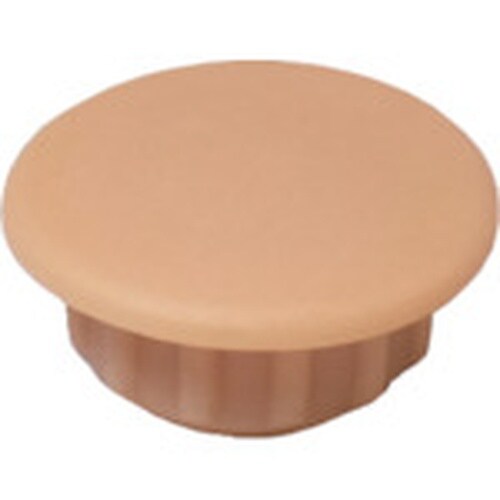 ダンドリビス 穴キャップ(10mm)クリームA10