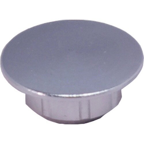 ダンドリビス ハイメタルキャップ シルバー (