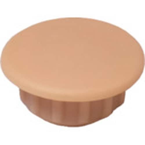 ダンドリビス ビスキャップ 穴キャップ(10mm)