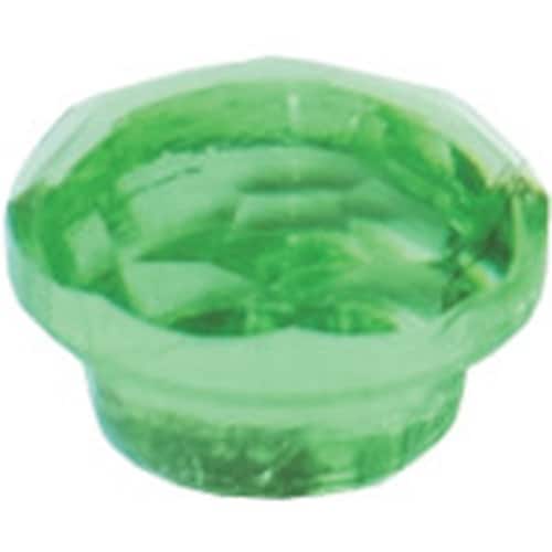 ダンドリビス ジュエルキャップ グリーン (20個