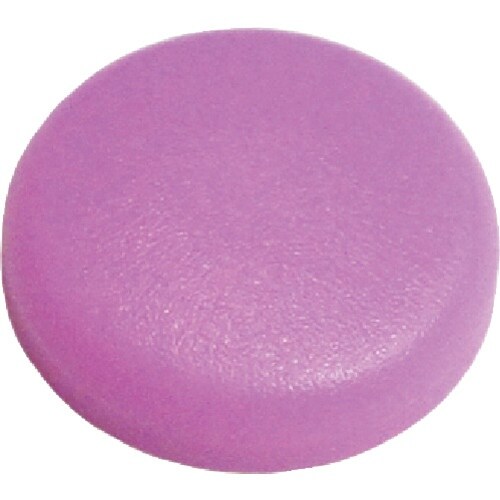 ダンドリビス Wキャップ&ワッシャーセット W74