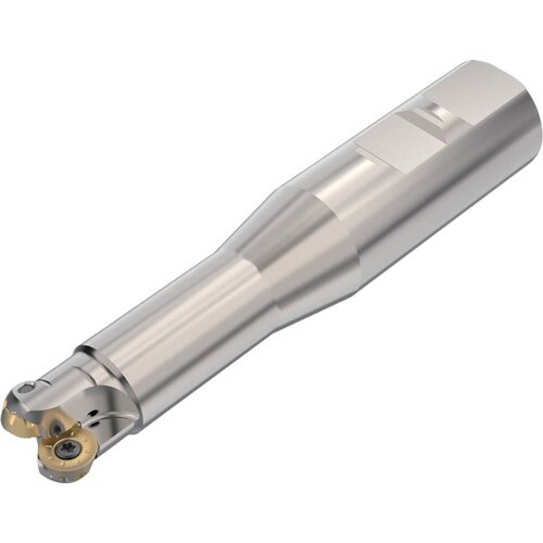 セコ フライス 丸駒カッタ R217.29Iー05