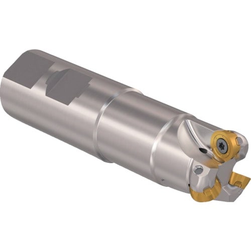 セコ フライス 丸駒カッタ R217.29Iー06