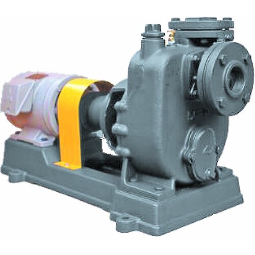 TERADA セルプラポンプ 鋳鉄製ペアーポンプ