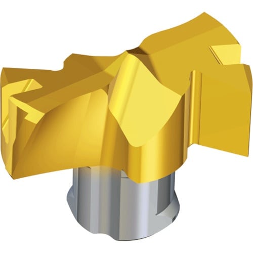 TAEGUTEC 刃先交換式ドリル用ヘッド ドリル