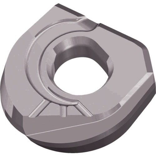 TAEGUTEC ミーリング加工用チップ ファイン