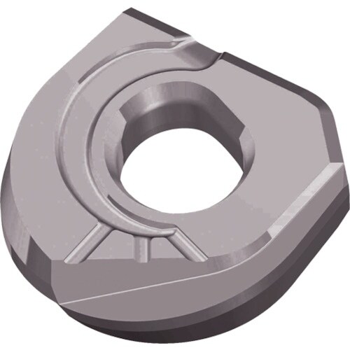 TAEGUTEC ミーリング加工用チップ ファイン