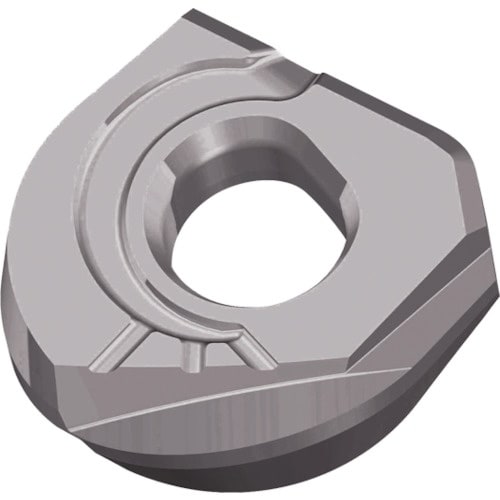 TAEGUTEC ミーリング加工用チップ ファイン