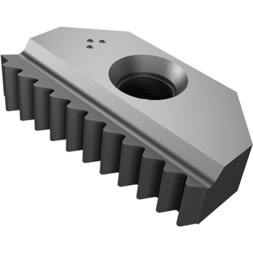 TAEGUTEC ねじ切りミーリングチップ TSス