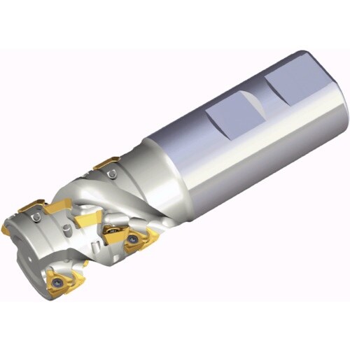 TAEGUTEC ミーリングカッター ミルラッシュ