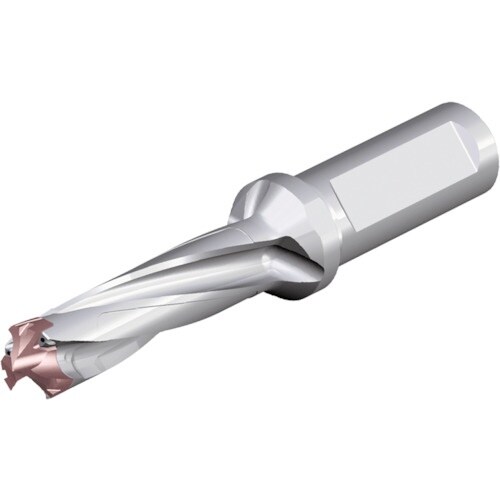 TAEGUTEC 刃先交換式ドリルホルダー ドリル