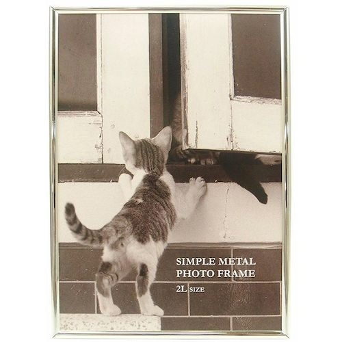 フジカラー メタルフォトスタンド