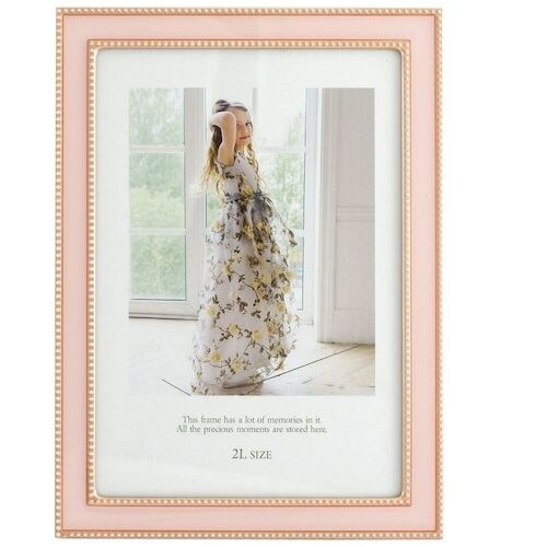 フジカラー メタルカラーフレーム