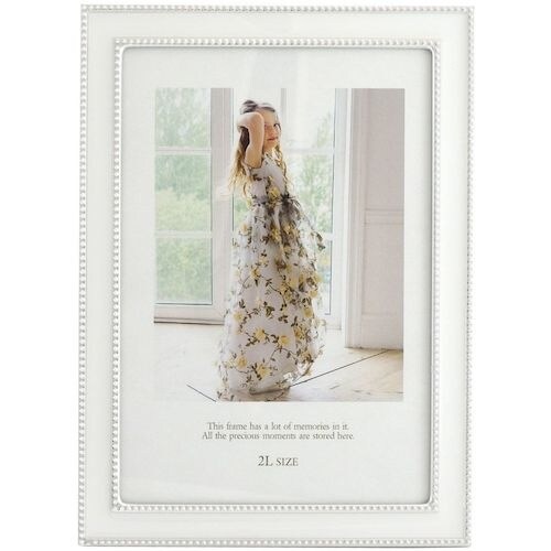 フジカラー メタルカラーフレーム