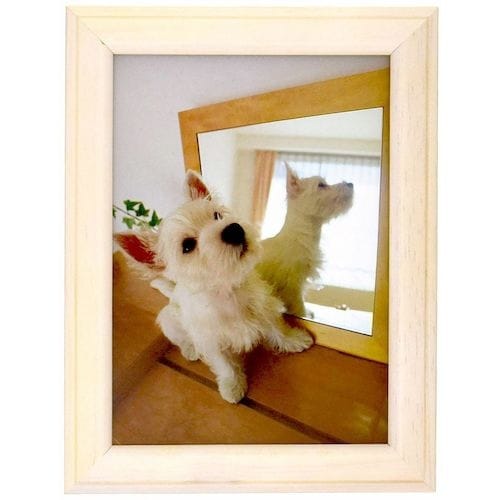 フジカラー 木製フォトスタンド ホワイト