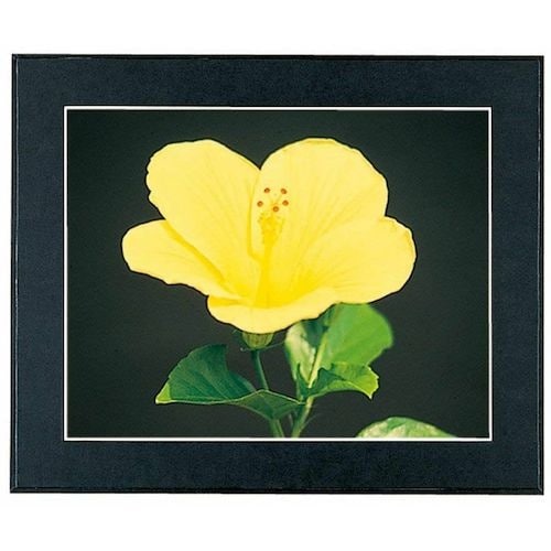 フジカラー マットパネルDX 全紙ノートリ(135