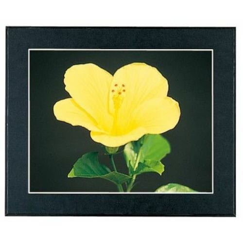 フジカラー マットパネルDX ワイド4切