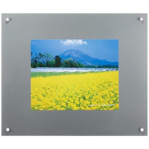 フジカラー プロフレーム 特寸フリーS シルバー