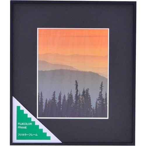 フジカラー アルミ額縁 A300 6切