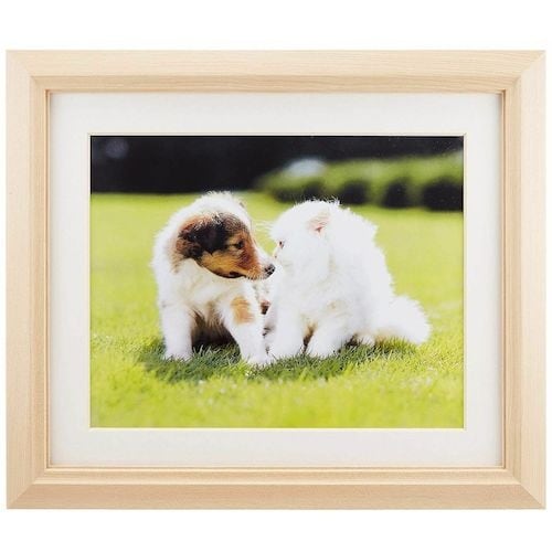 フジカラー 木製額縁 M12 アクリル 6切