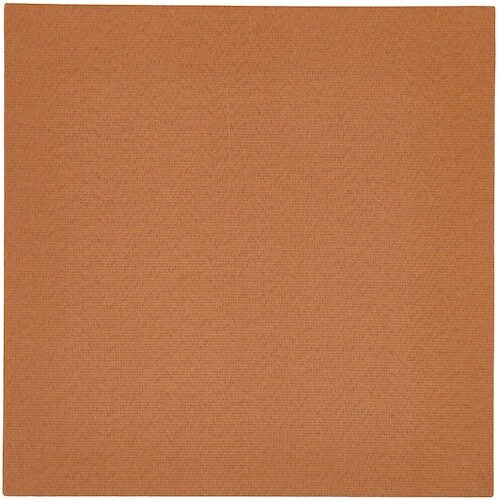 萩原 薄畳 丈夫素材 手軽に新調 DIY畳 樹(