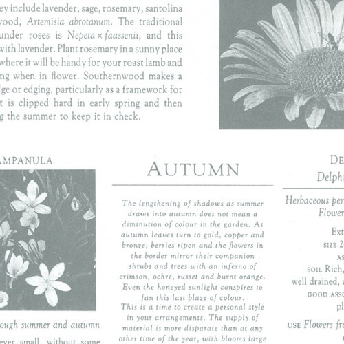 ササガワ 包装紙 包装紙 カーディアングレー白 半