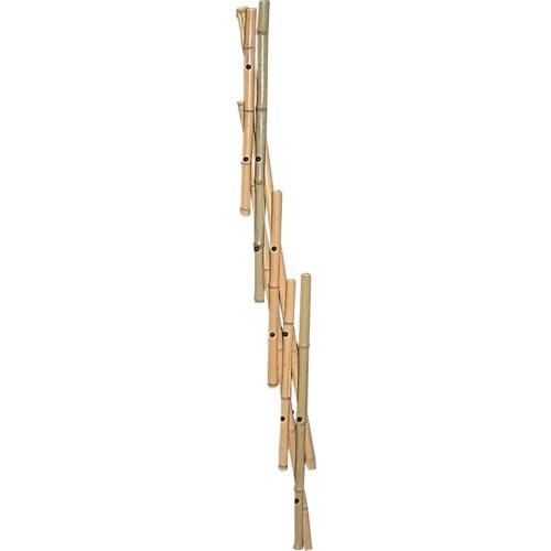 八ツ矢 竹さく君