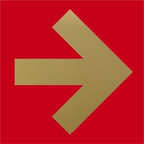 光 キャリエーター ステンレスチタンゴールド 矢印