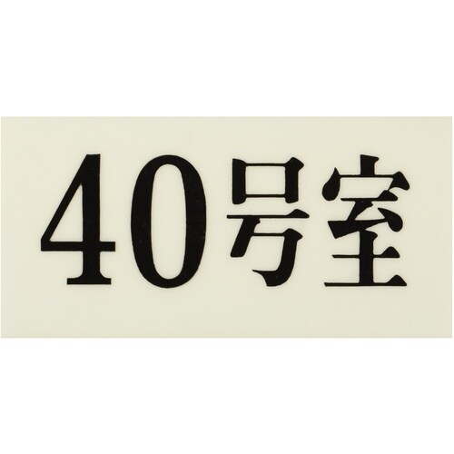 光 プレート 35×70×2 40号室