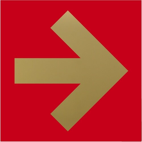 光 キャリエーター ステンレスチタンゴールド 矢印