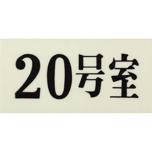 光 プレート 35×70×2 20号室