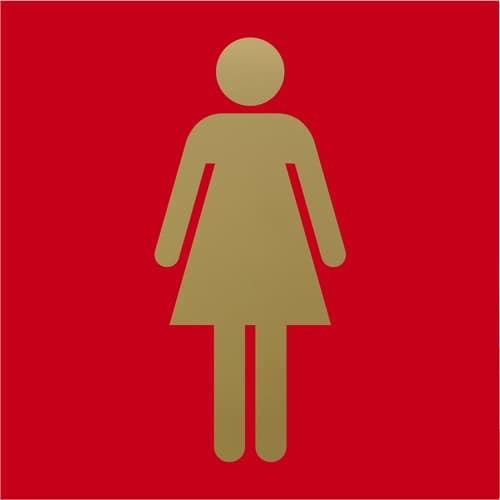 光 キャリエーター ステンレスチタンゴールド 女性