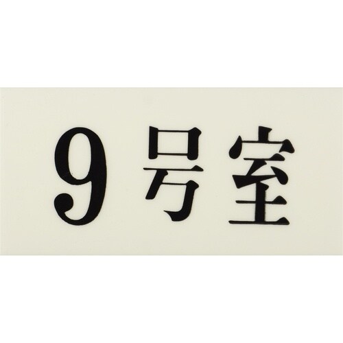 光 プレート 35×70×2 9号室