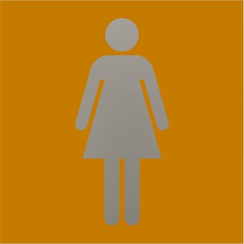 光 キャリエーター アルミアルマイト仕上げ 女性マ