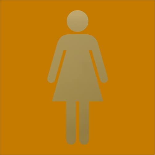 光 キャリエーター ステンレスチタンゴールド 女性