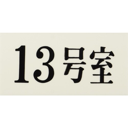 光 プレート 35×70×2 13号室