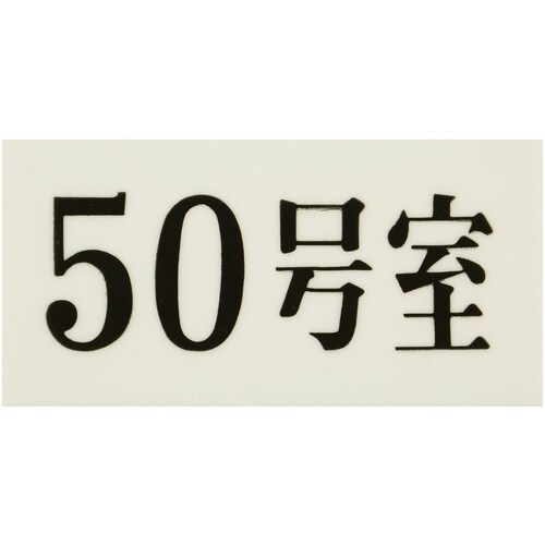 光 プレート 35×70×2 50号室