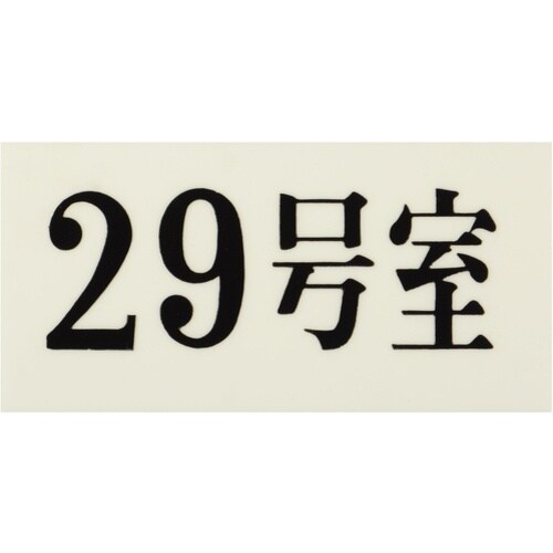 光 プレート 35×70×2 29号室