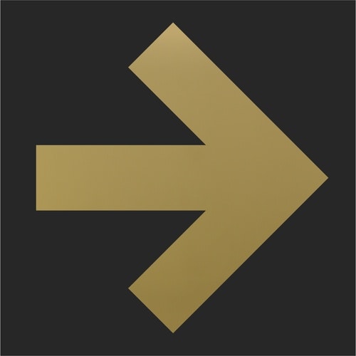 光 キャリエーター ステンレスチタンゴールド 矢印