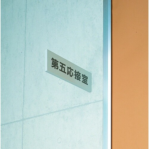 光 プレート持出タイプ スチール無地 79×250