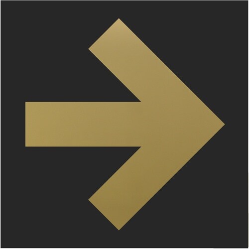 光 キャリエーター ステンレスチタンゴールド 矢印